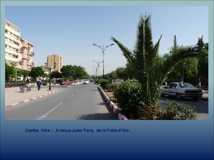 Centre Ville : Avenue Jules Ferry de la Patte d’Oie. 