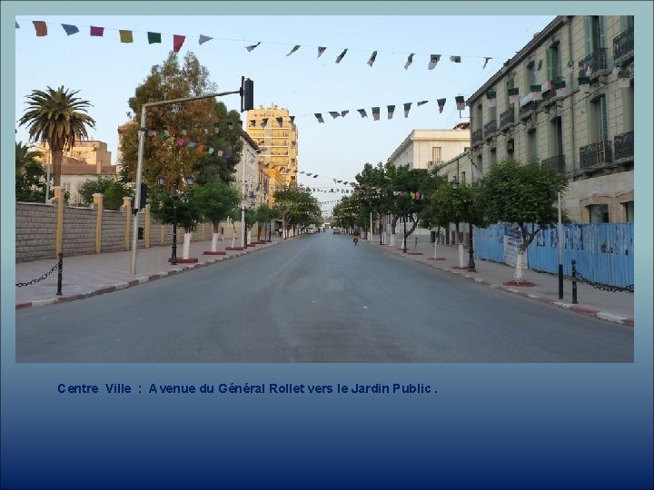 Centre Ville : Avenue du Général Rollet vers le Jardin Public. 
