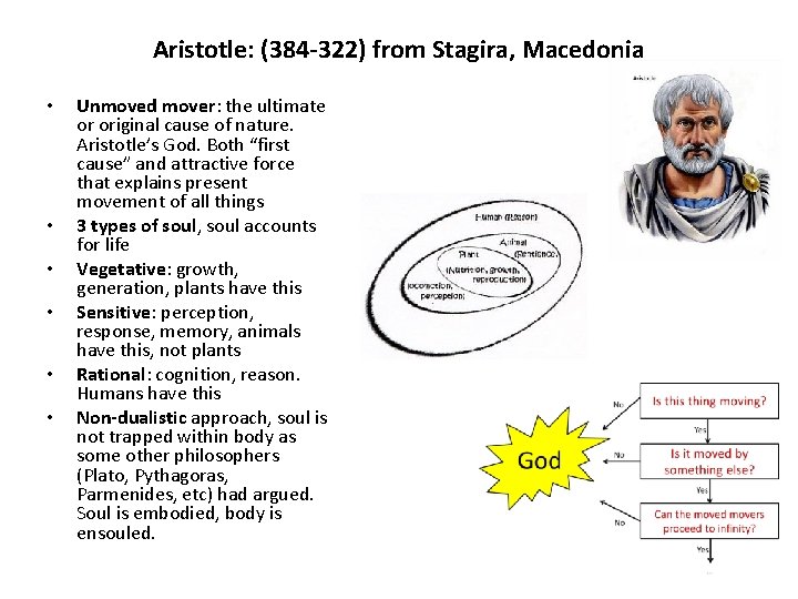 Aristotle: (384 -322) from Stagira, Macedonia • • • Unmoved mover: the ultimate or