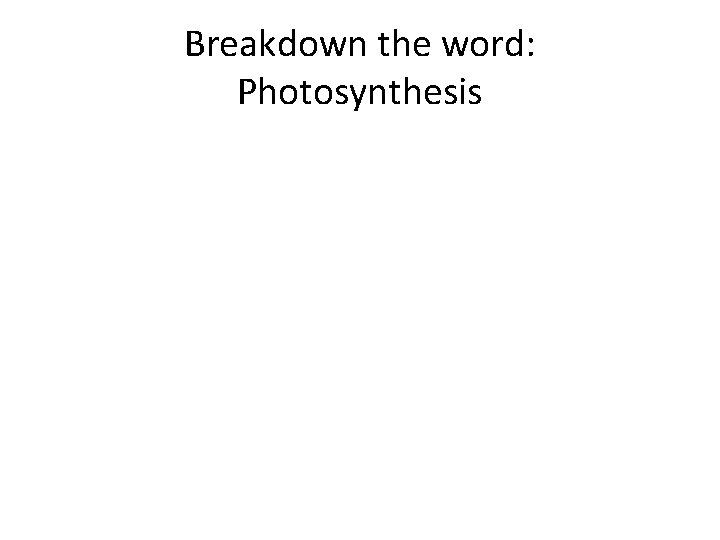 Breakdown the word: Photosynthesis 