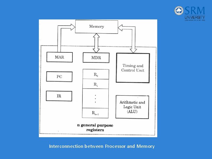 Interconnection between Processor and Memory 