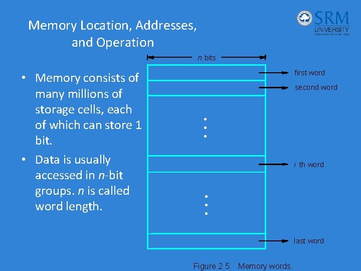 Memory Location, Addresses, and Operation n bits • Memory consists of many millions of