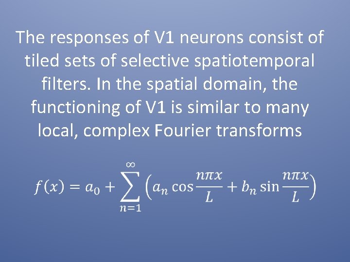 The responses of V 1 neurons consist of tiled sets of selective spatiotemporal filters.