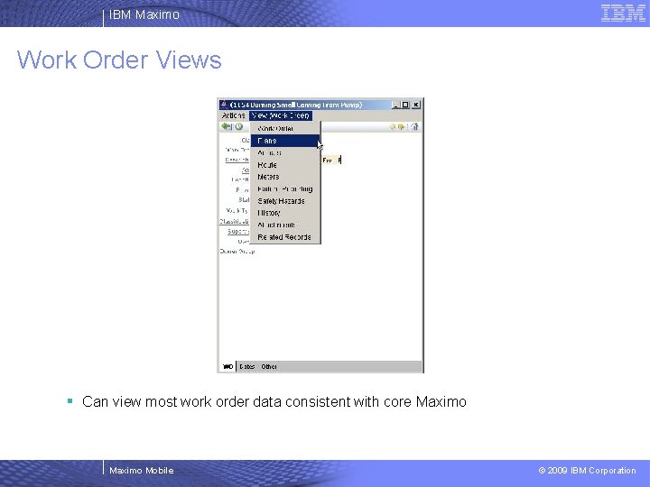 IBM Maximo Work Order Views § Can view most work order data consistent with