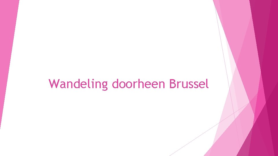 Wandeling doorheen Brussel 