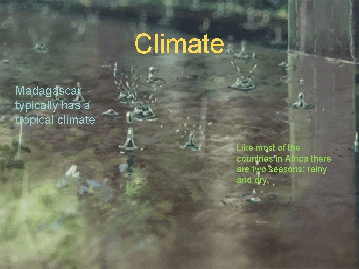 Climate Madagascar typically has a tropical climate Like most of the countries in Africa