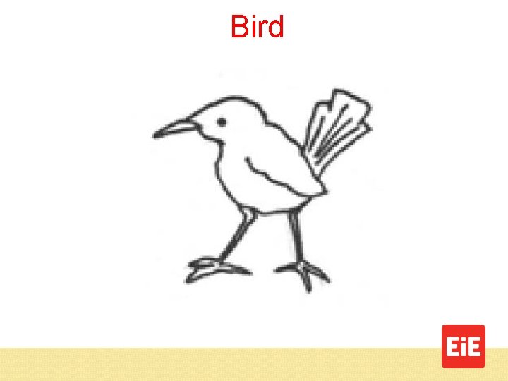 Bird 