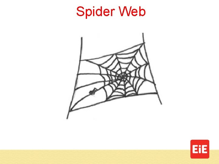 Spider Web 