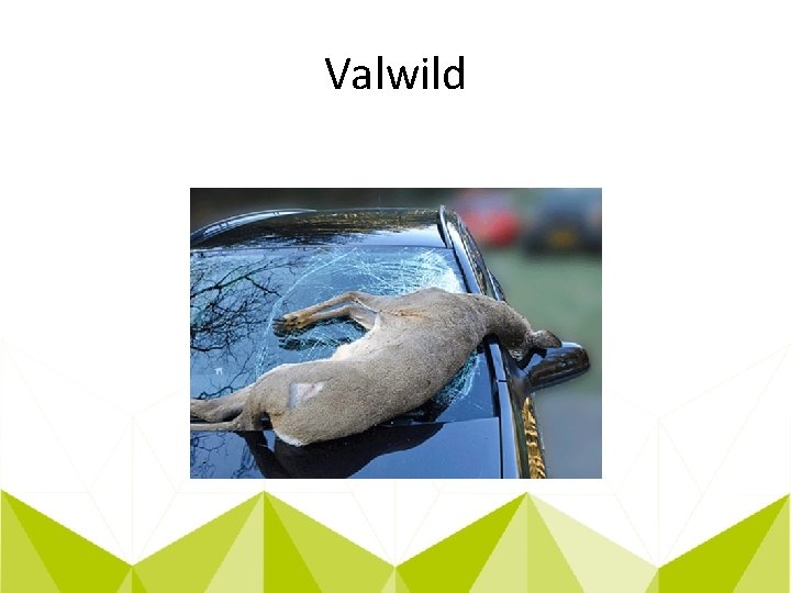 Valwild 