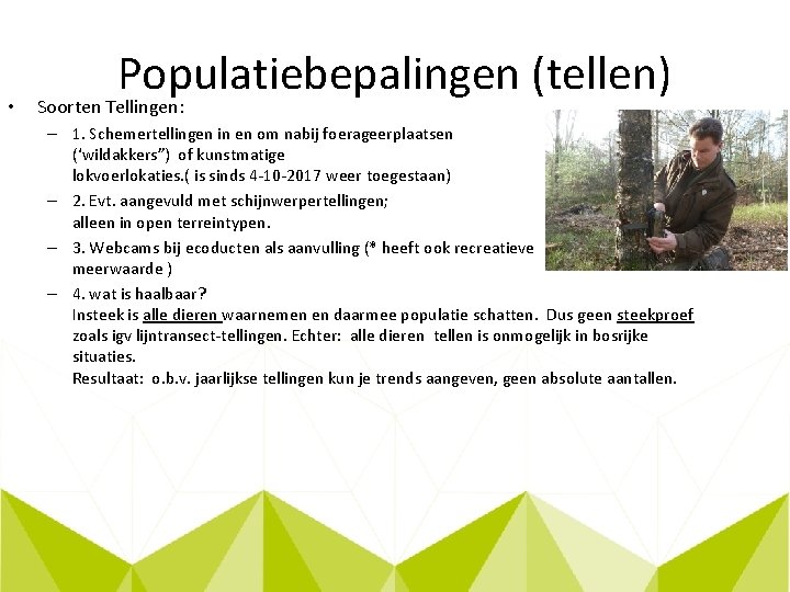  • Populatiebepalingen (tellen) Soorten Tellingen: – 1. Schemertellingen in en om nabij foerageerplaatsen