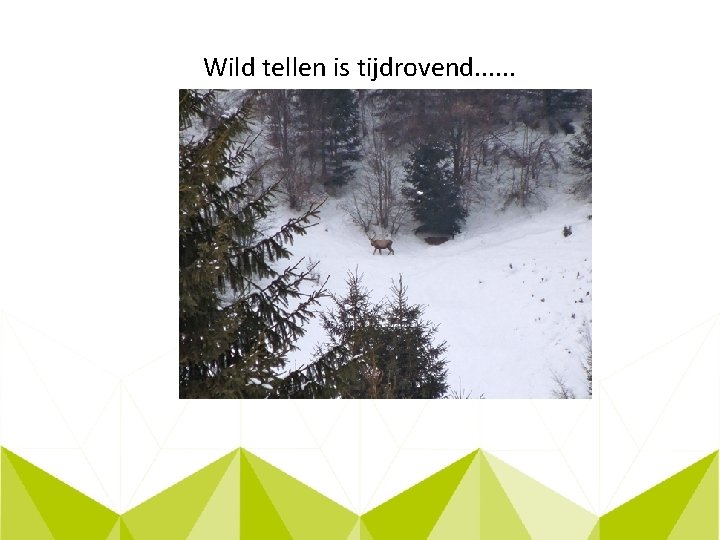 Wild tellen is tijdrovend. . . 