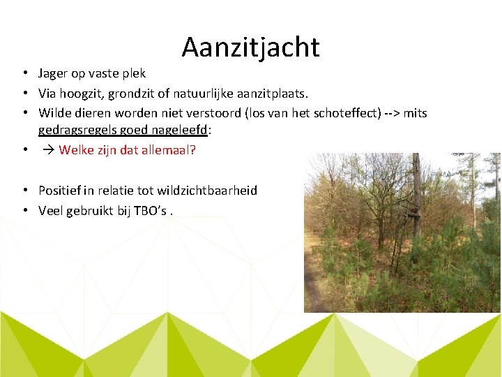 Aanzitjacht • Jager op vaste plek • Via hoogzit, grondzit of natuurlijke aanzitplaats. •