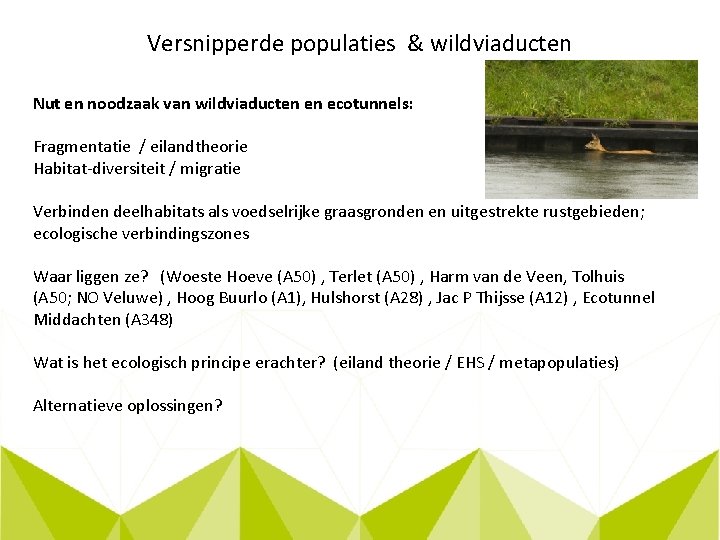 Versnipperde populaties & wildviaducten Nut en noodzaak van wildviaducten en ecotunnels: Fragmentatie / eilandtheorie