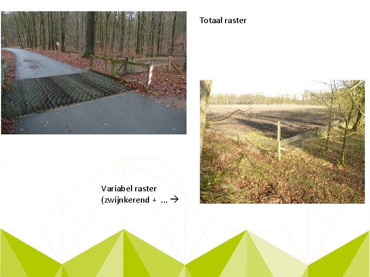 Totaal raster Variabel raster (zwijnkerend + . . . 