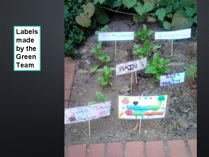 Labels made by the Green Team 