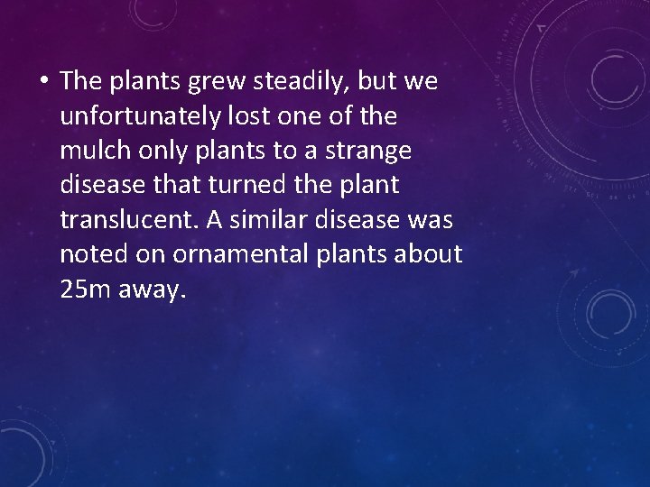  • The plants grew steadily, but we unfortunately lost one of the mulch