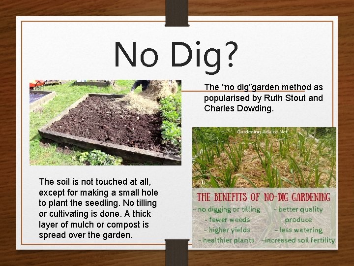 No Dig? The “no dig”garden method as popularised by Ruth Stout and Charles Dowding.