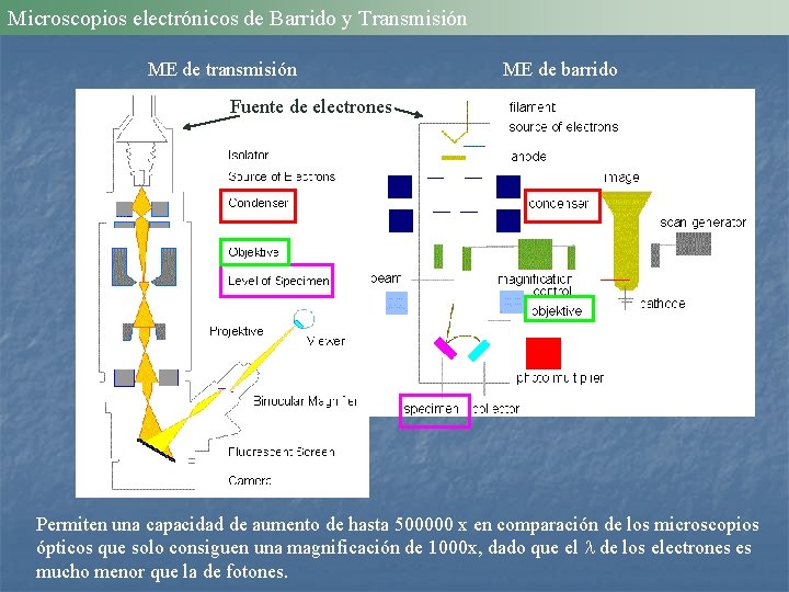 Microscopios electrónicos de Barrido y Transmisión ME de transmisión ME de barrido Fuente de