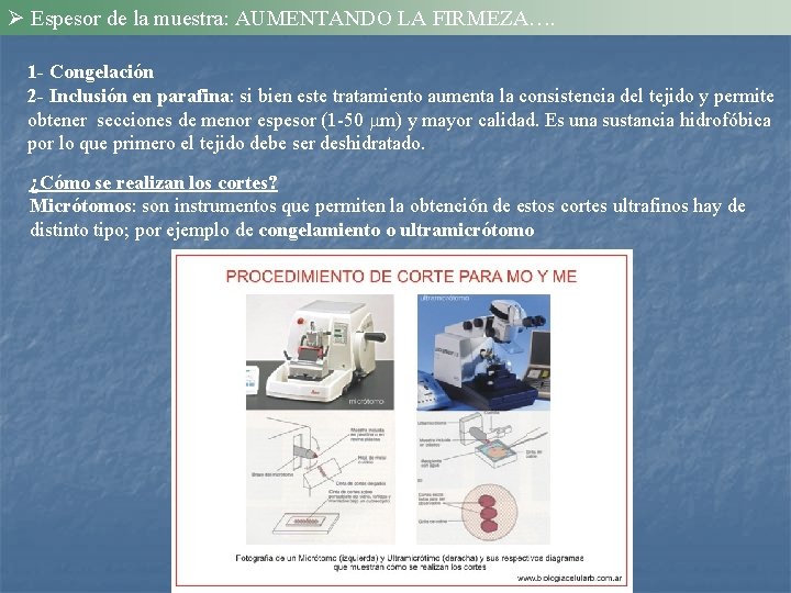 Ø Espesor de la muestra: AUMENTANDO LA FIRMEZA…. 1 - Congelación 2 - Inclusión