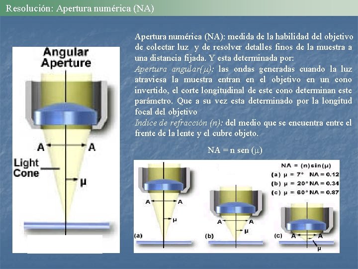 Resolución: Apertura numérica (NA): medida de la habilidad del objetivo de colectar luz y