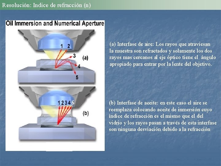 Resolución: Indice de refracción (n) (a) Interfase de aire: Los rayos que atraviesan la