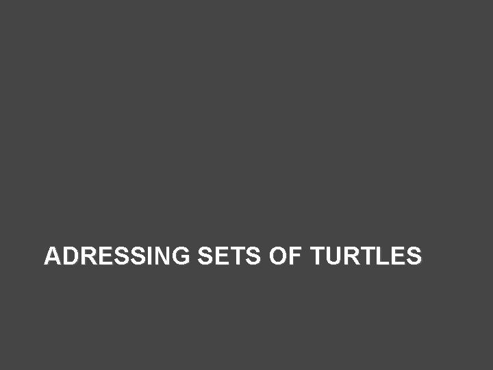 ADRESSING SETS OF TURTLES 