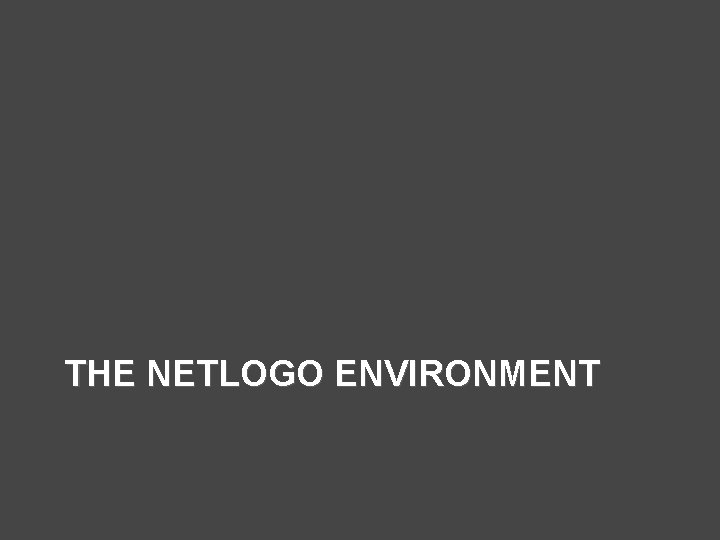 THE NETLOGO ENVIRONMENT 