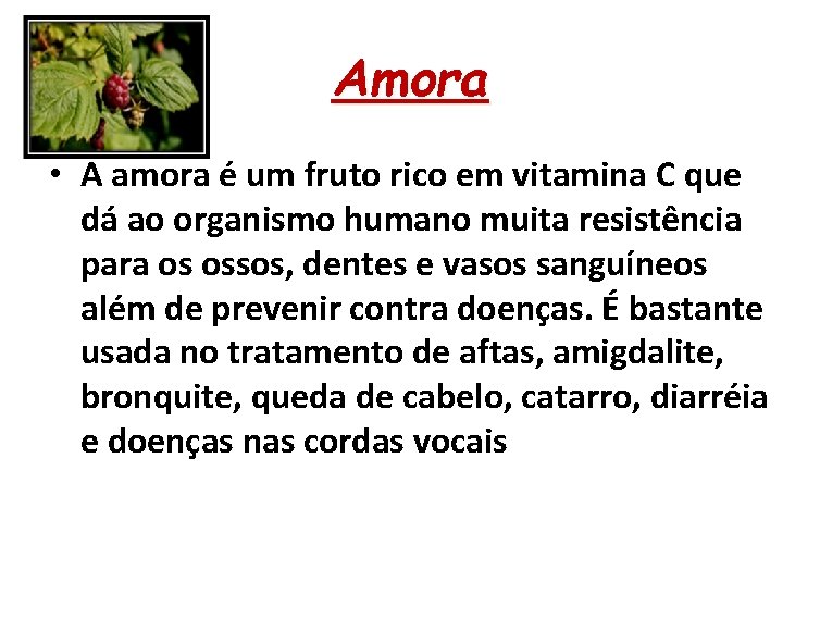 Amora • A amora é um fruto rico em vitamina C que dá ao