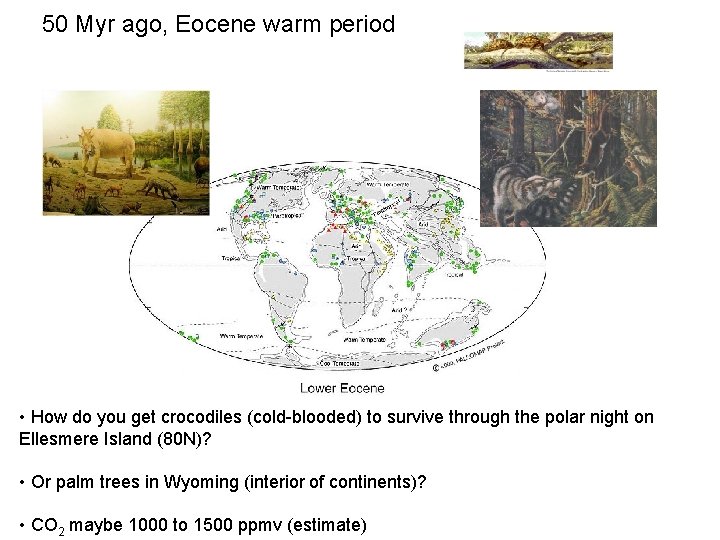 50 Myr ago, Eocene warm period • How do you get crocodiles (cold-blooded) to