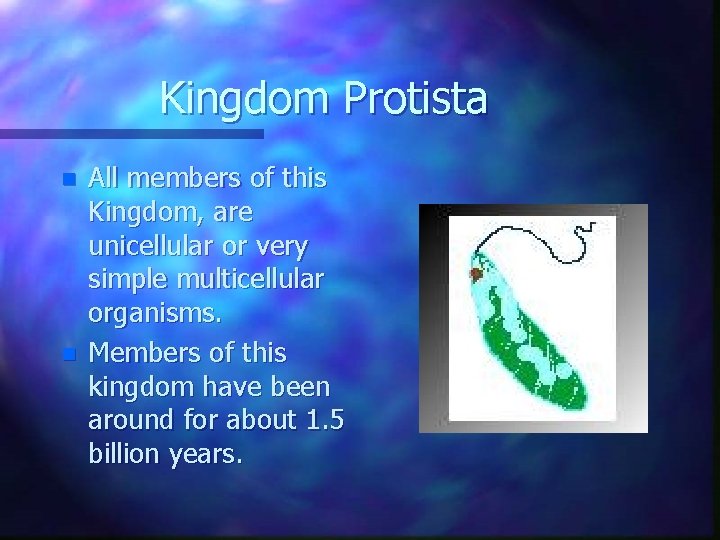 Kingdom Protista n n All members of this Kingdom, are unicellular or very simple