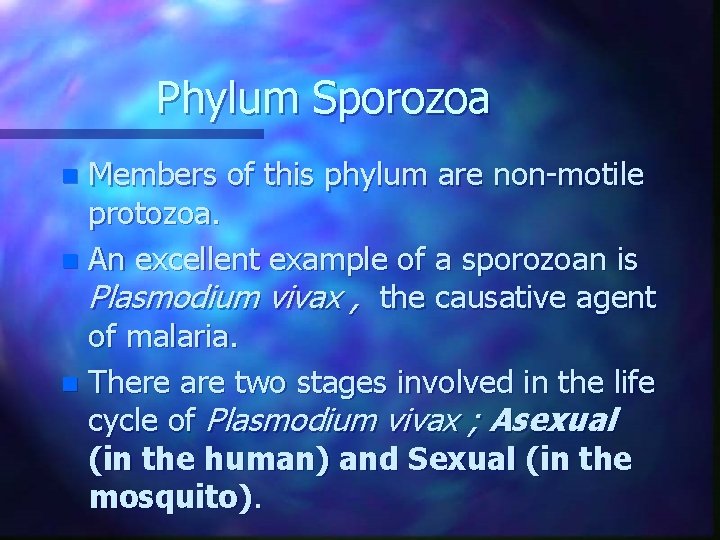 Phylum Sporozoa Members of this phylum are non-motile protozoa. n An excellent example of