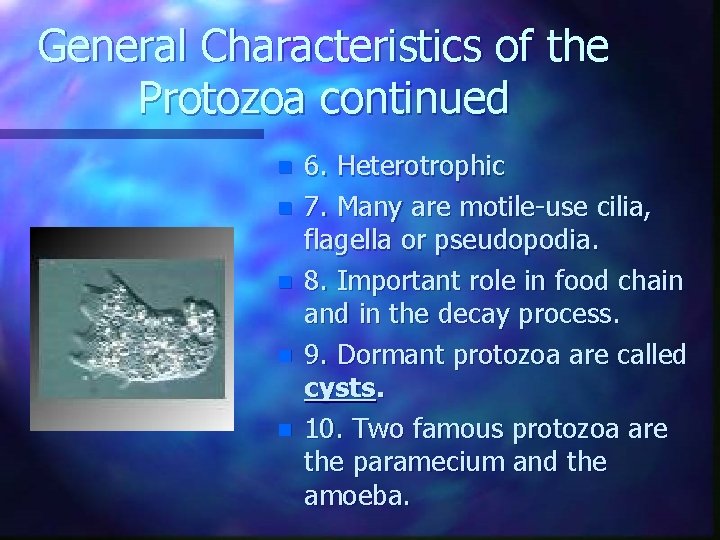 General Characteristics of the Protozoa continued n n n 6. Heterotrophic 7. Many are