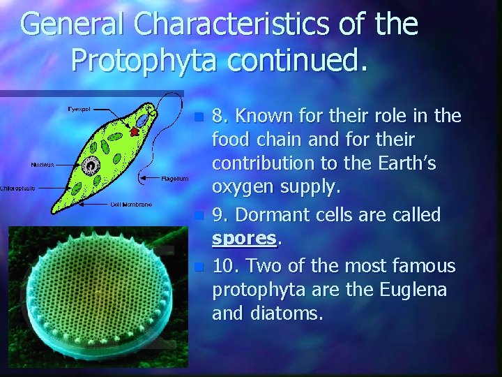 General Characteristics of the Protophyta continued. n n n 8. Known for their role