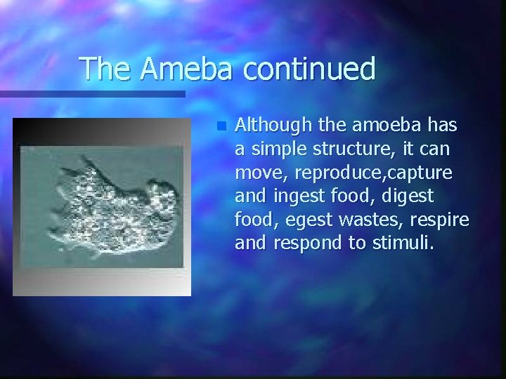 The Ameba continued n Although the amoeba has a simple structure, it can move,