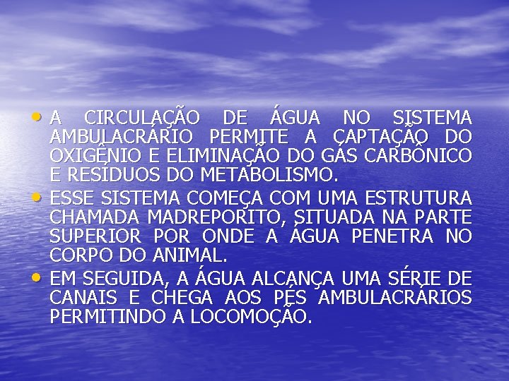  • A CIRCULAÇÃO DE ÁGUA NO SISTEMA • • AMBULACRÁRIO PERMITE A CAPTAÇÃO