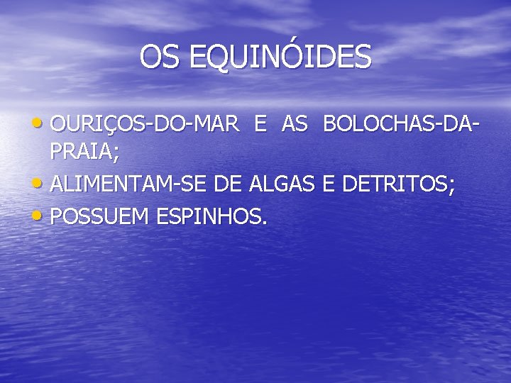 OS EQUINÓIDES • OURIÇOS-DO-MAR E AS BOLOCHAS-DAPRAIA; • ALIMENTAM-SE DE ALGAS E DETRITOS; •