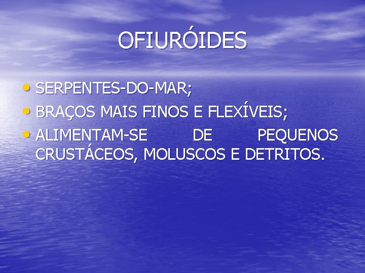 OFIURÓIDES • SERPENTES-DO-MAR; • BRAÇOS MAIS FINOS E FLEXÍVEIS; • ALIMENTAM-SE DE PEQUENOS CRUSTÁCEOS,