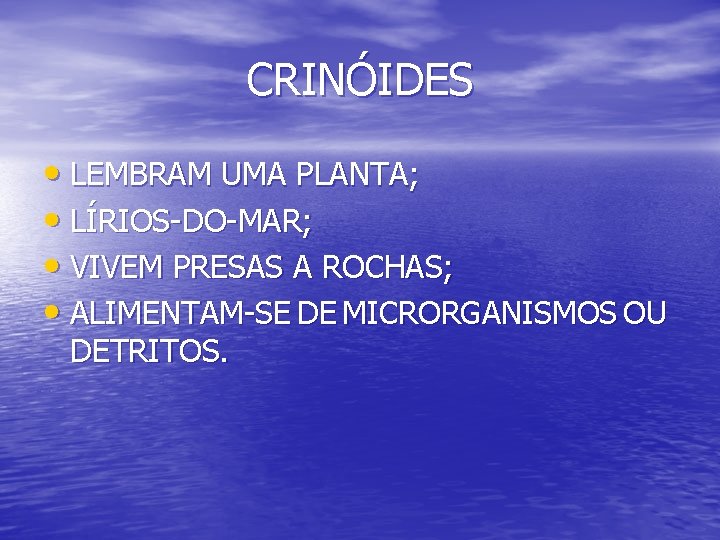 CRINÓIDES • LEMBRAM UMA PLANTA; • LÍRIOS-DO-MAR; • VIVEM PRESAS A ROCHAS; • ALIMENTAM-SE