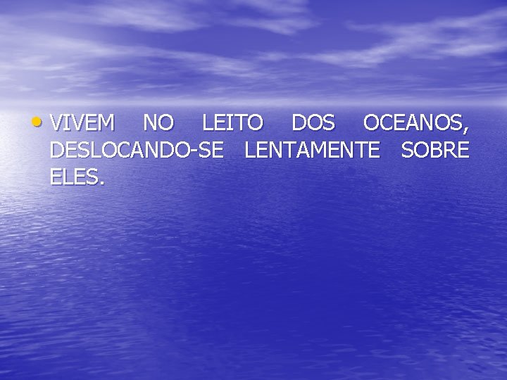 • VIVEM NO LEITO DOS OCEANOS, DESLOCANDO-SE LENTAMENTE SOBRE ELES. 