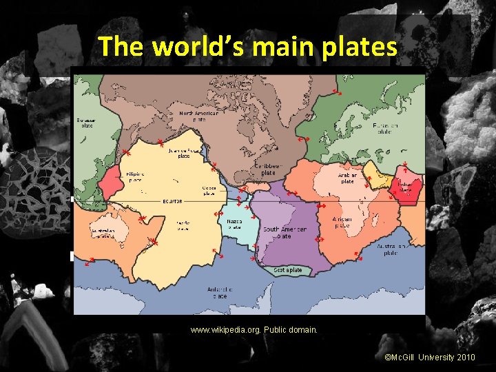 The world’s main plates www. wikipedia. org. Public domain. ©Mc. Gill University 2010 