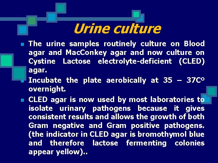 Urine culture n n n The urine samples routinely culture on Blood agar and