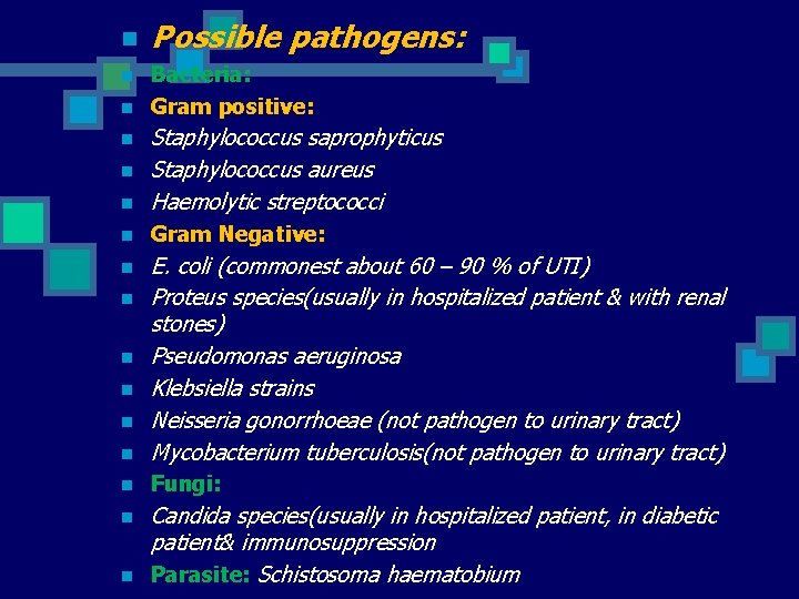 n n n Possible pathogens: Bacteria: Gram positive: n Staphylococcus saprophyticus Staphylococcus aureus Haemolytic