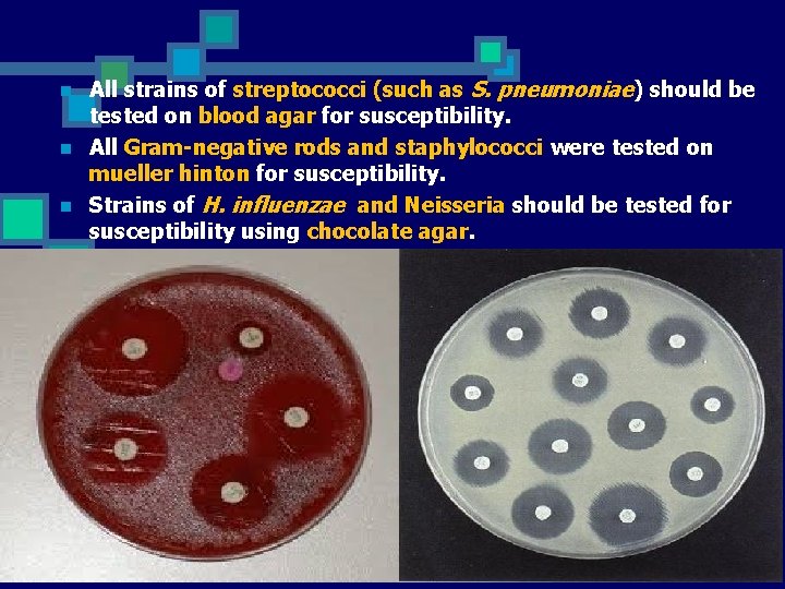 n n n All strains of streptococci (such as S. pneumoniae) should be tested