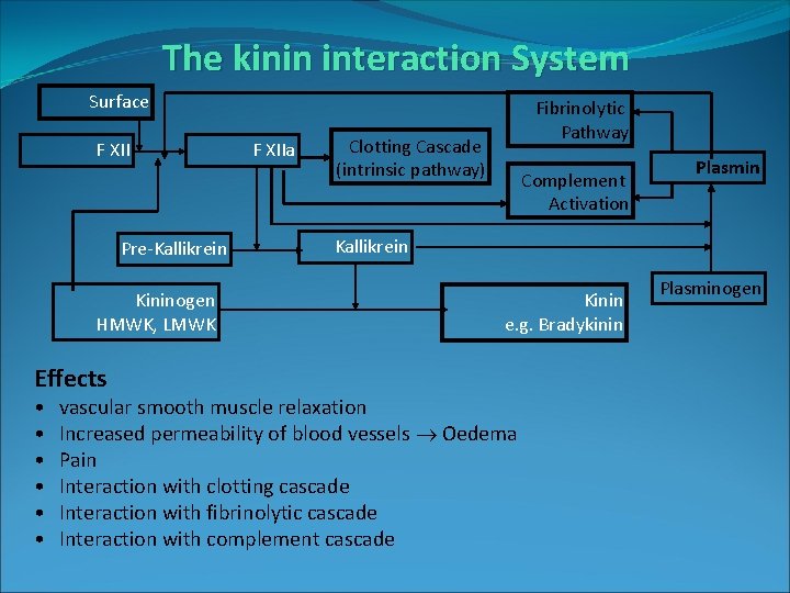 The kinin interaction System Surface F XII Pre-Kallikrein Kininogen HMWK, LMWK Effects • •