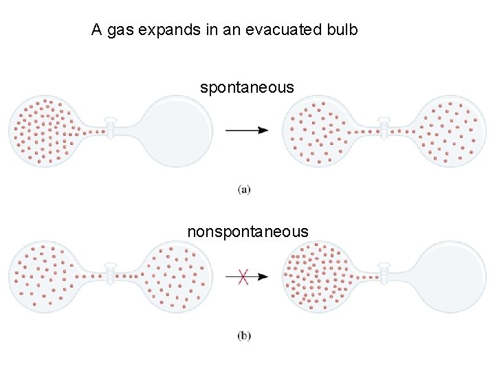 A gas expands in an evacuated bulb spontaneous nonspontaneous 