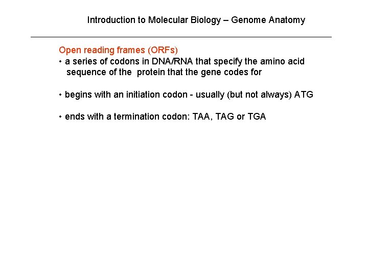 Introduction to Molecular Biology – Genome Anatomy Open reading frames (ORFs) • a series Introduction to Molecular Biology – Genome Anatomy Open reading frames (ORFs) • a series