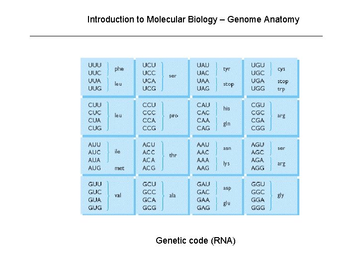 Introduction to Molecular Biology – Genome Anatomy Genetic code (RNA) Introduction to Molecular Biology – Genome Anatomy Genetic code (RNA)