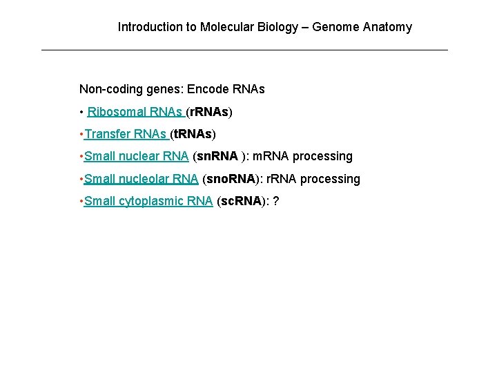 Introduction to Molecular Biology – Genome Anatomy Non-coding genes: Encode RNAs • Ribosomal RNAs Introduction to Molecular Biology – Genome Anatomy Non-coding genes: Encode RNAs • Ribosomal RNAs