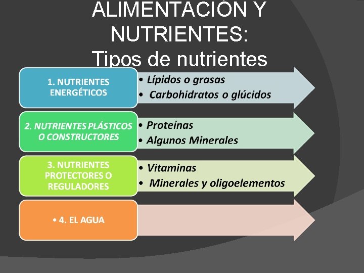ALIMENTACIÓN Y NUTRIENTES: Tipos de nutrientes 