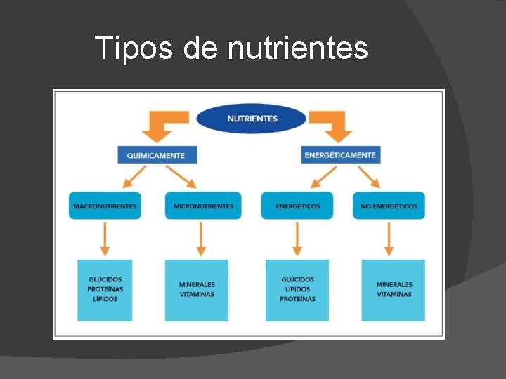 Tipos de nutrientes 